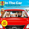 Download track Fox On The Run (Single Version)