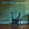 Download track Treat You Better