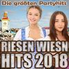 Download track Bier Sind Immer Für Dich Da! (Dj Mix)