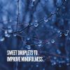 Download track Rainy Day Contemplation