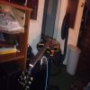 Download track Shufflin Blues