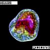 Download track Penance (BLZS Remix)