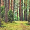 Download track Debonair Ambience For Relaxing