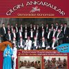 Download track Pınar Senin