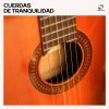 Download track Guitarra Acústica