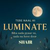 Download track Luminate