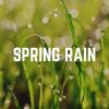 Download track Quickness Rain