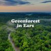 Download track 1 Hour Of Heavy Waterfalls, Pt. 13