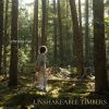 Download track Misty Mountains