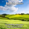 Download track Slow Music For Noise Reduction