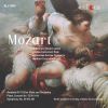 Download track Symphony No. 29 In A Major, K. 201: I. Allegro Moderato