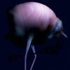 Download track Arca - & & & & & (Mixed)
