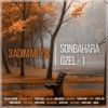 Download track İhtiyacım Var