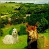 Download track Tea Party (Prof. Logik's Swank Re-Flux)