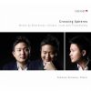 Download track The Seasons, Op. 37a, TH 135 X. October. Autumn Song