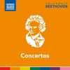 Download track Piano Concerto No. 2 In B-Flat Major, Op. 19: III. Rondo. Molto Allegro