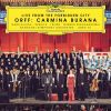 Download track Carmina Burana / Uf Dem Anger: 