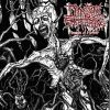 Download track Dawn Of The Dead