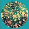 Download track I Can See Through You (Blanck Mass Remix)