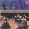 Download track Mendelssohn - Piano Trio No 1 In D Minor, Op. 49 - I. Molto Allegro Agitato