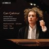 Download track 09. Variations In F Minor, Hob. XVII6 Un Piccolo Divertimento Var. 2