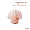 Download track Toccata In D Minor, BWV 913: IV. Allegro