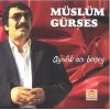 Download track Bir Kulunu Çok Sevdim