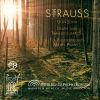 Download track Death And Transfiguration Op. 24