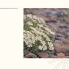 Download track Laid-Back Backdrops For Positive Mindsets