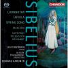 Download track 6. Pelleas Och Melisande Op. 46 - 3. Vid En Källa I Parken