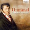 Download track Cello Sonate In A Major, Op. 104: III. Rondo. Allegro Vivace Un Poco