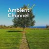 Download track Music For Removing Negative Thoughts