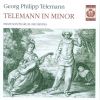 Download track Concerto In E Minor For 2 Flutes, Strings, And Continuo TWV 53-E1 - 2. Allegro