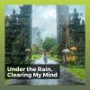 Download track Omnipresent Rain