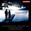 Download track 3. Mandolin Concerto In G Major S28 - II. Andante Con Variazioni: [Theme] - Var. I - Var. II - Var. III