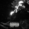 Download track Fuck The World
