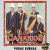 Download track Carta Perdida