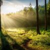 Download track Autumn Journey
