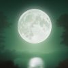 Download track A Place To Rest
