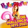 Download track Wohin Mit Der Schnapsleiche