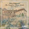 Download track Piano Sonata In B-Flat Minor, Op. 36: II. Andante Con Molta Espressione