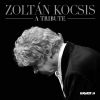 Download track Dance Suite, Sz. 77 I. Moderato