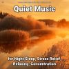 Download track Relaxing Music To Help Fall Asleep