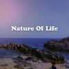 Download track Sense Of Love