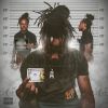 Download track Trippie Luv