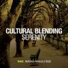 Download track Serenity (Instrumental)