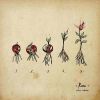 Download track O Verdadeiro Amor