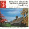 Download track 01. Brzezinski - Violin Sonata In D Major Op. 6 - I. Allegro Moderato