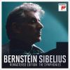 Download track Violin Concerto In D Minor, Op. 47: I. Allegro Moderato