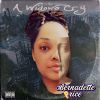 Download track Now Ain't The Time